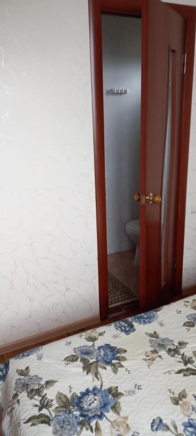 У Людмилы גגרה מראה חיצוני תמונה
