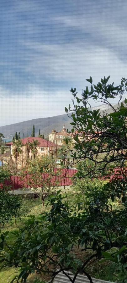 У Людмилы גגרה מראה חיצוני תמונה